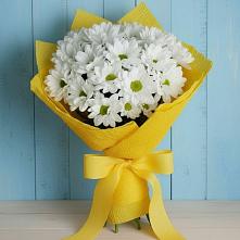 Букет цветов из:  Хризантемы в Фастовецкой