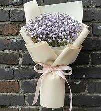 Букет цветов из:  Гипсофила в Фастовецкой
