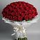 Букет 101 Красная роза Блэк Мэджик в Фастовецкой