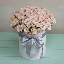 Цветочная композиция из Розы в шляпной коробке в Фастовецкой