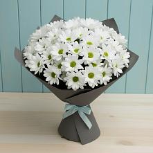 Букет цветов из:  Хризантемы в Фастовецкой