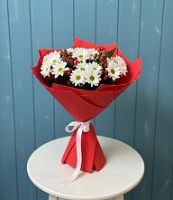 Букет цветов из:  Хризантемы в Фастовецкой