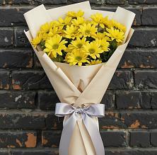 Букет цветов из:  Хризантемы в Фастовецкой