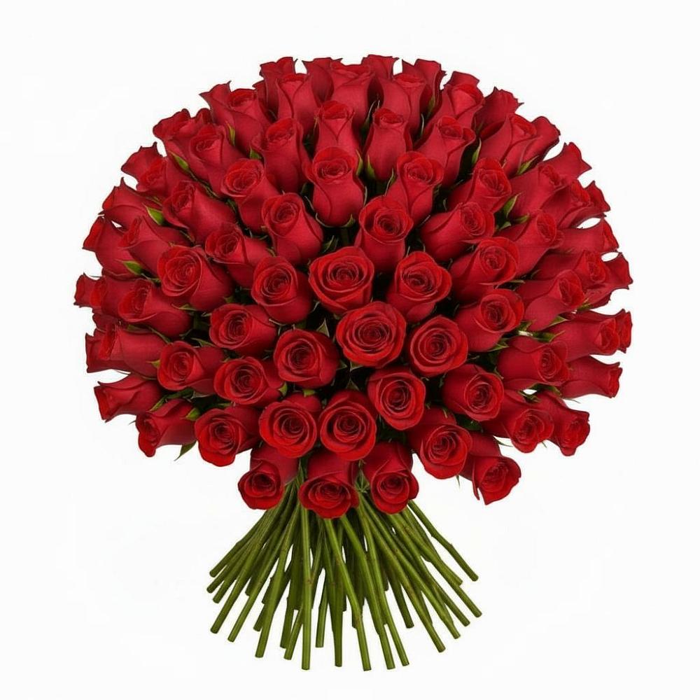 Букет Красные розы Чери Лав в Фастовецкой