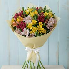 Букет цветов из:  Альстромерии в Фастовецкой