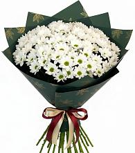 Букет цветов из:  Хризантемы #REPLACE_PRED# Фастовецкой