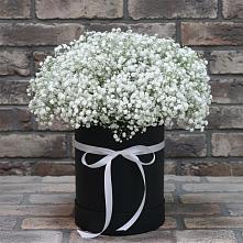 Цветочная композиция из Гипсофила в шляпной коробке в Фастовецкой