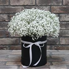 Цветочная композиция из Гипсофила в шляпной коробке в Фастовецкой