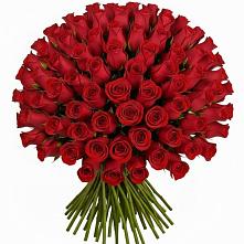Букет Красные розы Чери Лав #REPLACE_PRED# Фастовецкой