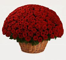 Премиум букет из: Розы в Фастовецкой